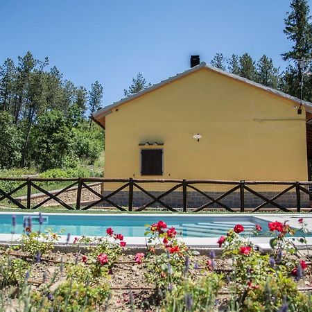 Il Ginepro Villa Cortona Kültér fotó