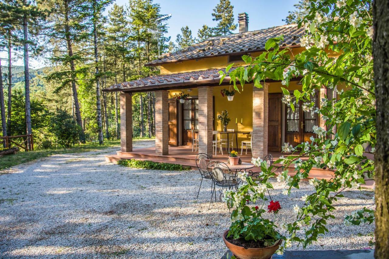 Il Ginepro Villa Cortona Kültér fotó