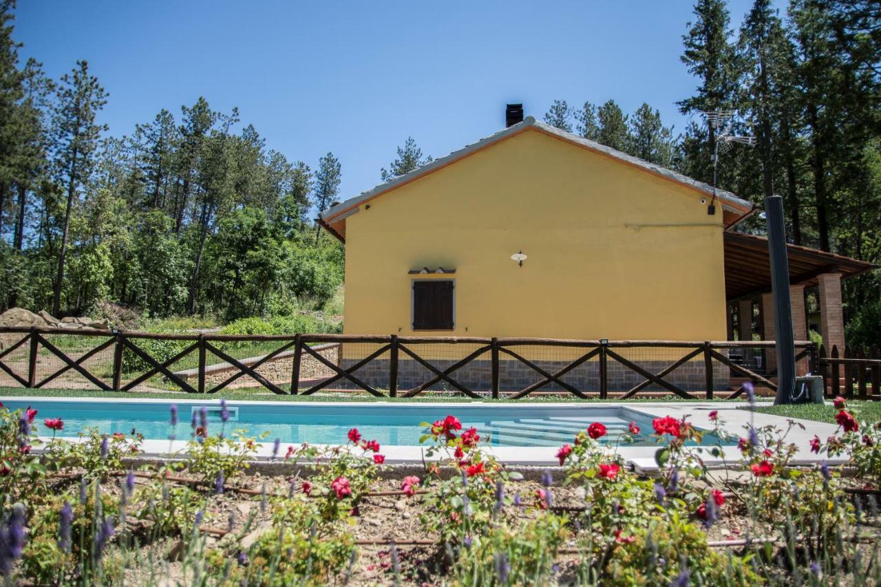 Il Ginepro Villa Cortona Kültér fotó